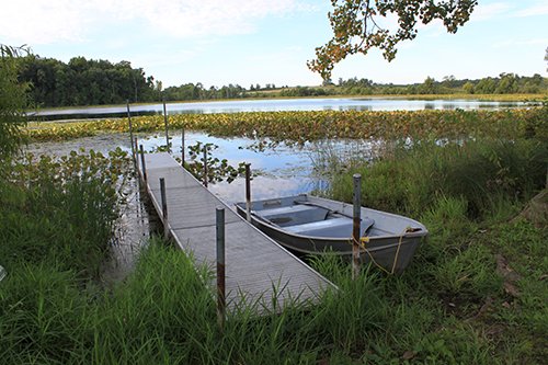 Property photo 34 - REAL ESTATE AUCTION, 163+/- Acres offered in 8 Tracts